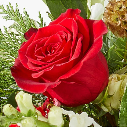 Deck the Halls Bouquet –  United Market Street, Lubbock TX