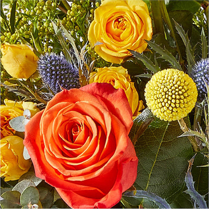 Disco Bouquet –  United Market Street, Lubbock TX