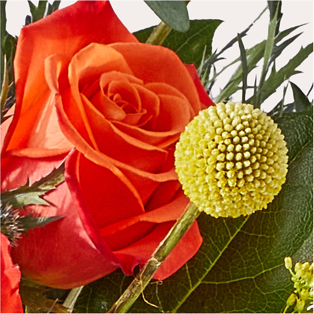 Disco Bouquet –  United Market Street, Lubbock TX