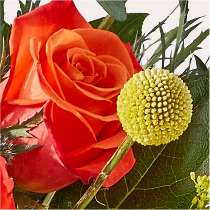 Disco Bouquet –  United Market Street, Lubbock TX