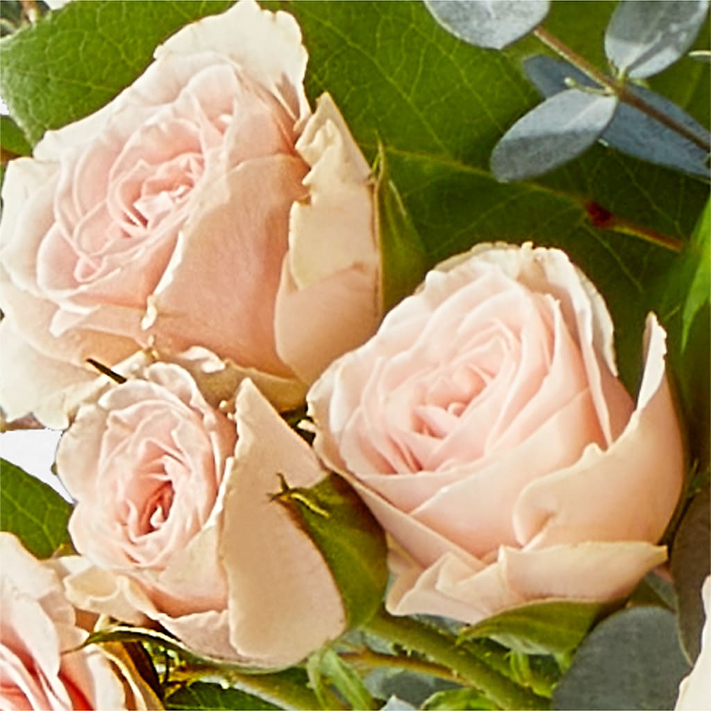 Inspired Bouquet –  United Market Street, Lubbock TX