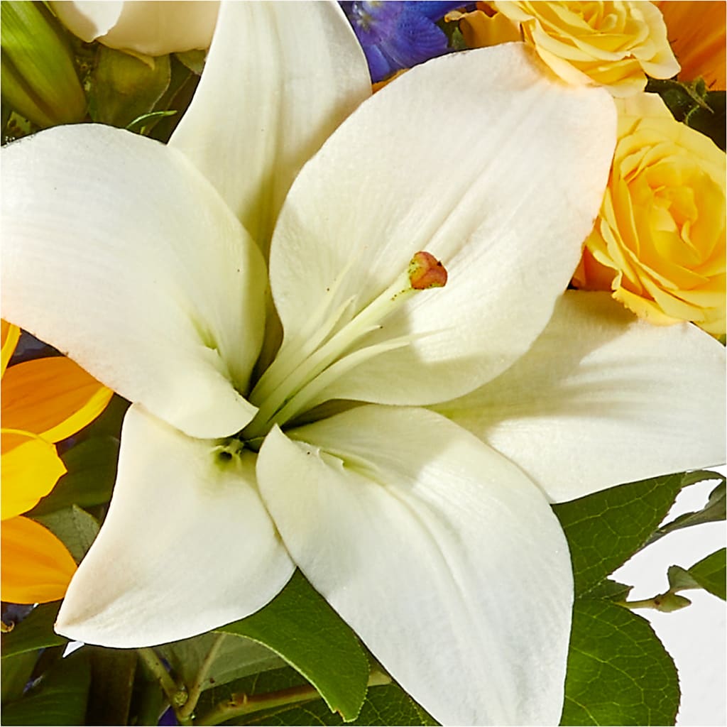 Wonderfully Sunny Bouquet –  United Market Street, Lubbock TX