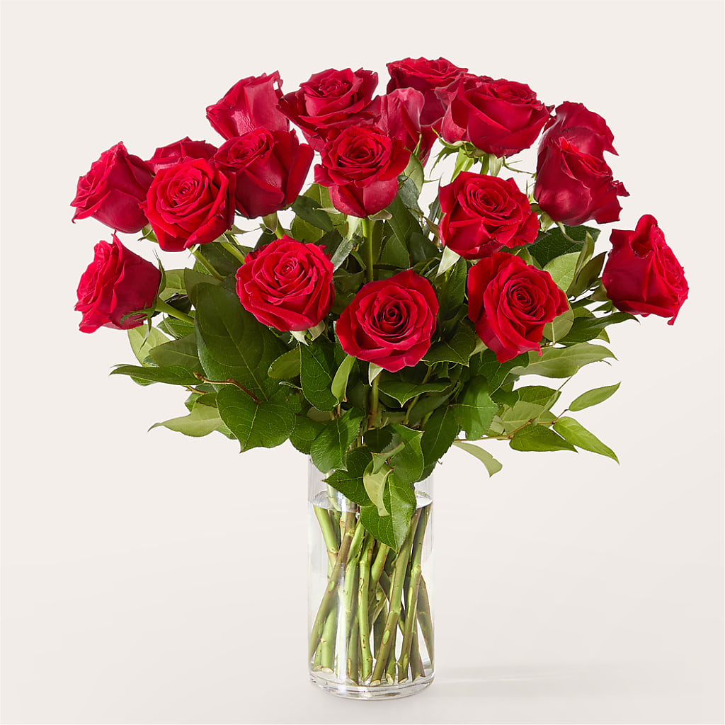 The One Red Rose Bouquet –  United Market Street, Lubbock TX