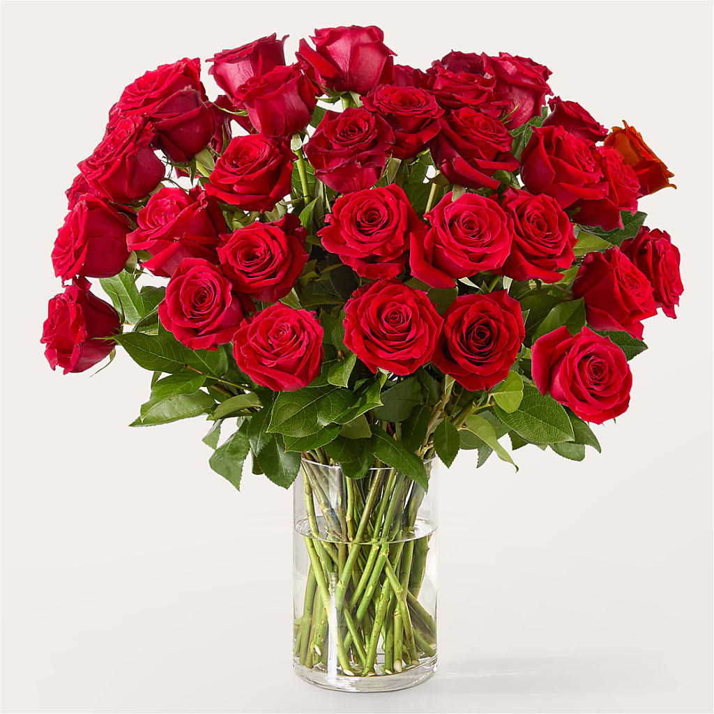The One Red Rose Bouquet –  United Market Street, Lubbock TX