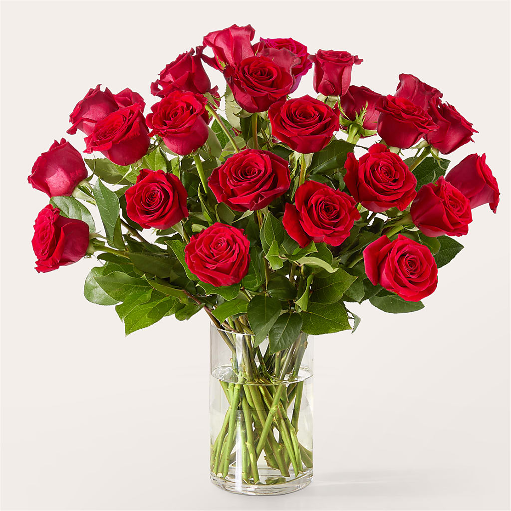 The One Red Rose Bouquet –  United Market Street, Lubbock TX