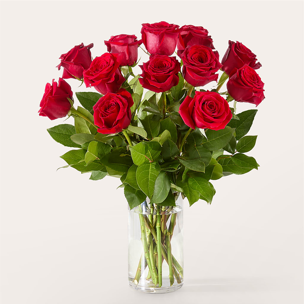 The One Red Rose Bouquet –  United Market Street, Lubbock TX