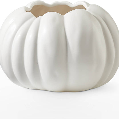 Pumpkin to Talk About Bouquet –  United Market Street, Lubbock TX